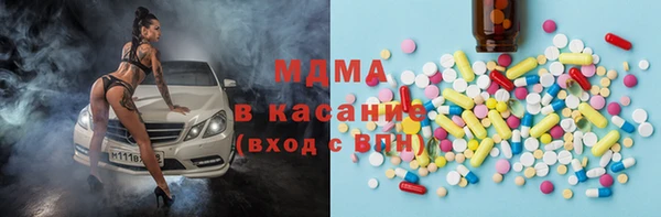 дмт Богданович
