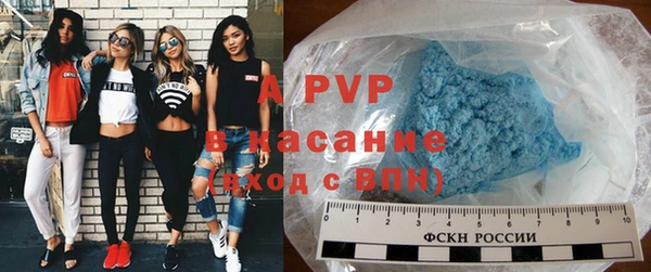 дмт Богданович