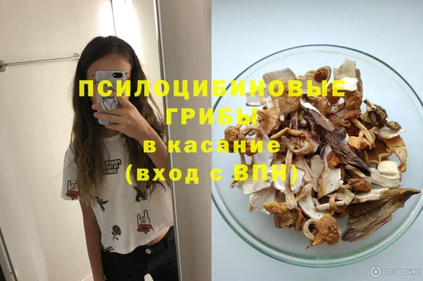 ECSTASY Богородск