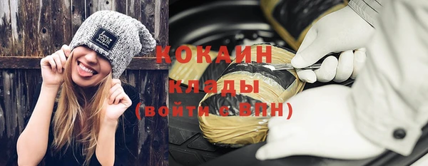 дмт Богданович
